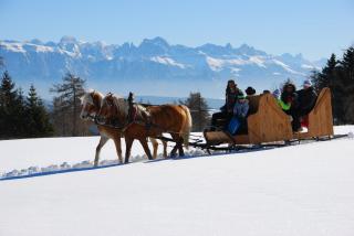Oberfahrerhof - 5