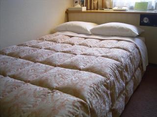 Ageo Tobu Hotel - Ageo - 5