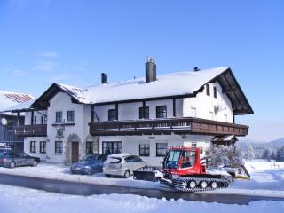 Pension Philippsreut "Zum Pfenniggeiger" Am Goldsteigwanderweg - 6