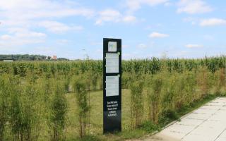 MN Hotel by WMM Hotels - Mindelheim - 4