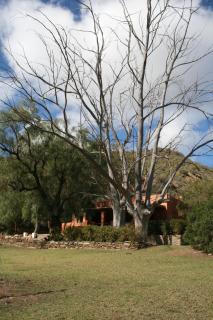 Matjiesvlei Retreat 1945 - Calitzdorp - 1