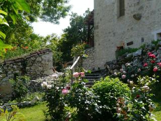 Le Mas Des Papillons chambre d'hôtes B&B - Fargues - 1