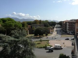 Treehouse - Pisa - 3
