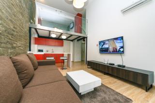 VIP Apartment at Horodetskoho 4 - Kiev - 9