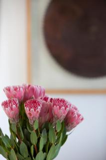 Sugarbird Manor - Stellenbosch - 2