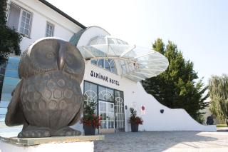 Seminarhotel Göttlesbrunn - Göttlesbrunn - 7