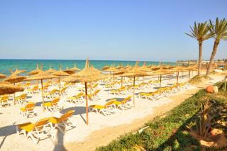 Vincci Safira Palms - Sangho - 3