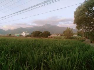 芯禾慢旅-原禾恬cafe&bar - 8