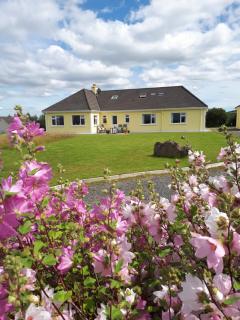 Tullaleagan Guesthouse - Oughterard - 9