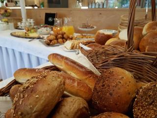 Familienhotel Adler - Lingenau - 3