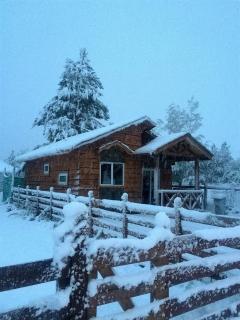 Cabaña en Malalcahuello con agradable Barbacoa y 2 Estacionamientos Techados - 8