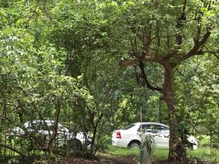 Kamp Kamouflage Kanha - Kanha - 1