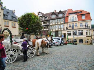 Große Wohnung mit Terrasse im Altstadtzentrum - Ferienwohnung Chiplakoff - Blankenburg - 7