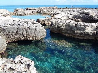 Casa vacanza Poesia - San Foca - 1