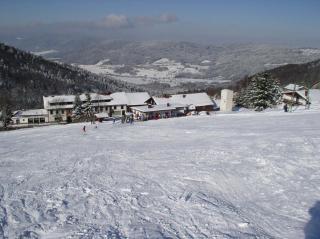 Panorama-Landgasthof Ranzinger - Schöfweg - 5