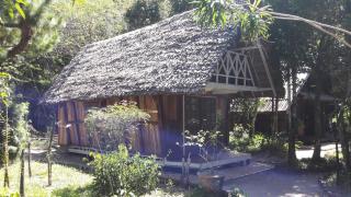 Les Acacias Bungalows - Manambato - 2