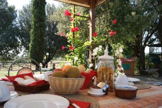 Agriturismo Spazzavento - Vecchiano - 1