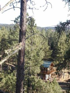 Pancho's Hideout - Custer - 7