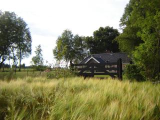 Bed en Breakfast De Boksloot - Ravenswoud - 5