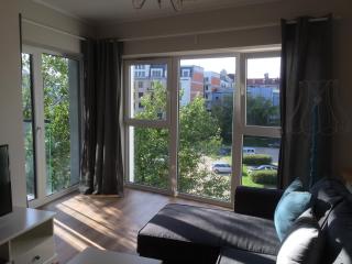 Super-Apartamenty VIP Vintage - Poznań - 2
