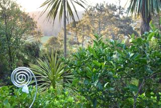 Ponga eco-lodge - Hahei - 6