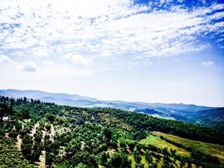 Casa Vacanze Vertine - Gaiole in Chianti - 6