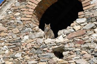 Ferienwohnungen Primoschitz - 8