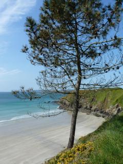 Ty Kozh De L'aber - Crozon - 8