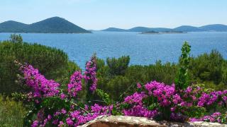 Apartment Marine - Drage - 9