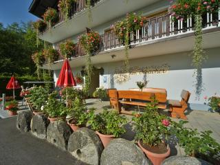 Pension Isabella - Bad Kleinkirchheim - 9