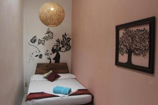 Bodhi El Valle - 4