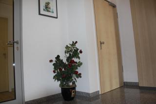 Hotel Grand Tour - Wesseling - 1