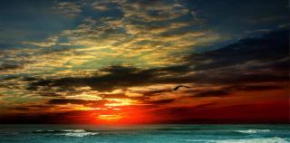 Home D'or - Cala d´Or - 4