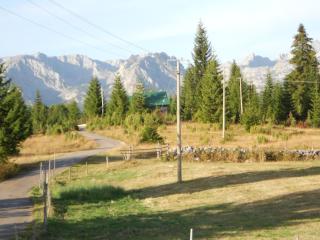 Žabljak izdavanje kuce - Žabljak - 2