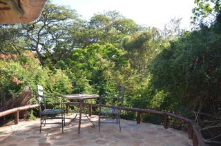 Moholoholo Forest Camp - Hoedspruit - 4