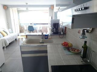 Portvendres Sea view - 2