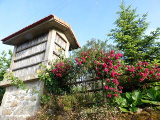 Casa da Eira Velha - Vale de Cambra - 6