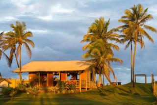 Tree Bies Resort - Oficial - Subaúma - 2