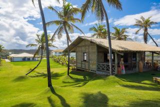 Tree Bies Resort - Oficial - 7