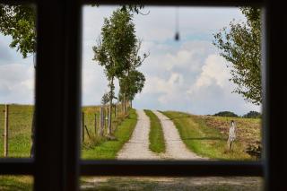 Rosenlund Bed & Breakfast - Skovsgårde - 8