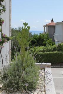 Apartments with a parking space Baska Voda, Makarska - 6912 - 6