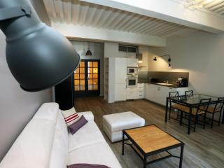 55 m2 Apart with big terrace in Annecy downtown - Annecy - 4
