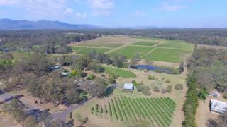 McCaffrey's Estate - Pokolbin - 1