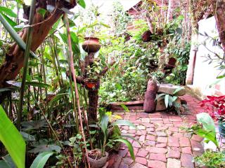 Hotel Casa Tarzan San Agustin - 8