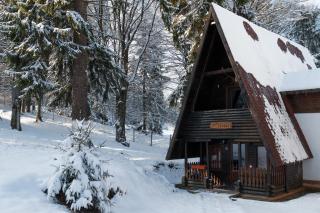 Centrul de Echitatie Poiana Brasov - Poiana Brasov - 2