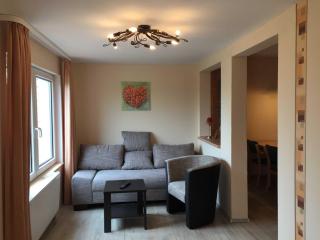 Gutspark Schwarbe mit Reiterhof - Ferienhaus 3 - Mattchow - 9