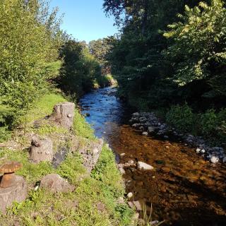 Bear Lodge - Auchterarder - 1