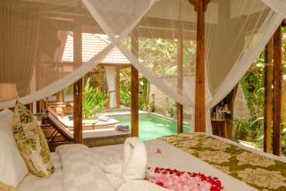 Naja Private Villa - Ubud - 8