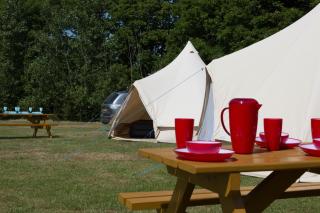 Herston Caravan & Camping - Swanage - 8