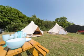 Herston Caravan & Camping - Swanage - 5
